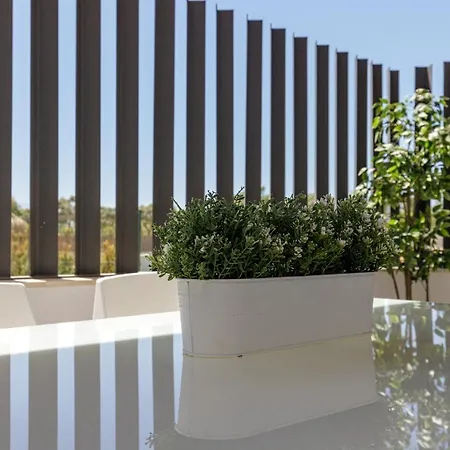 公寓 A&n La Terraza De La Vega *